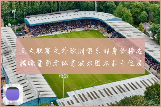 五大联赛之外欧洲俱乐部身价排名揭晓葡萄牙体育波尔图本菲卡位居前三