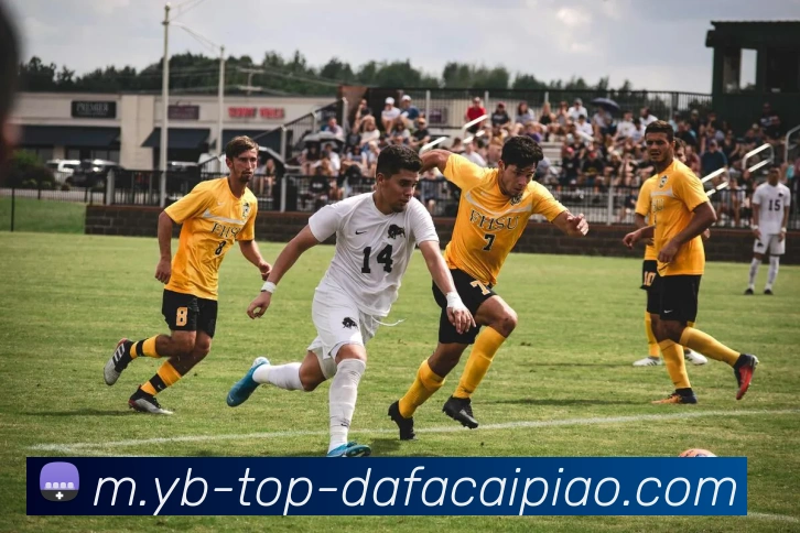 大发彩票服务体系